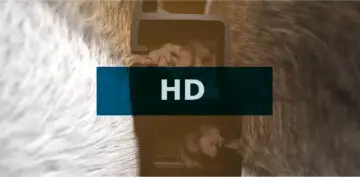 Filtri a Tela HD